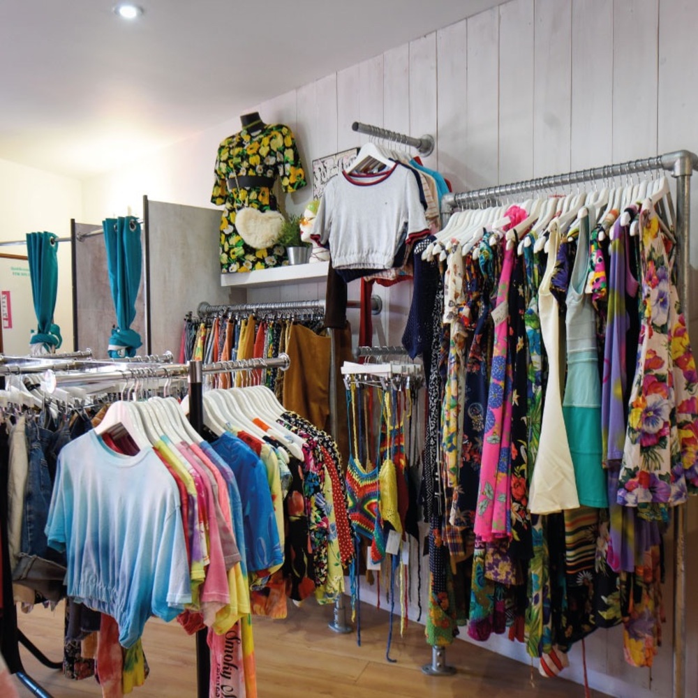 Miss Vasti Closet
